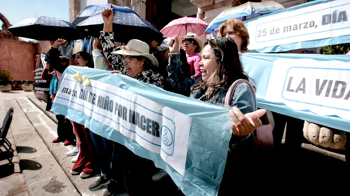 Protesta de grupos pro vida en la Plaza Legislativa